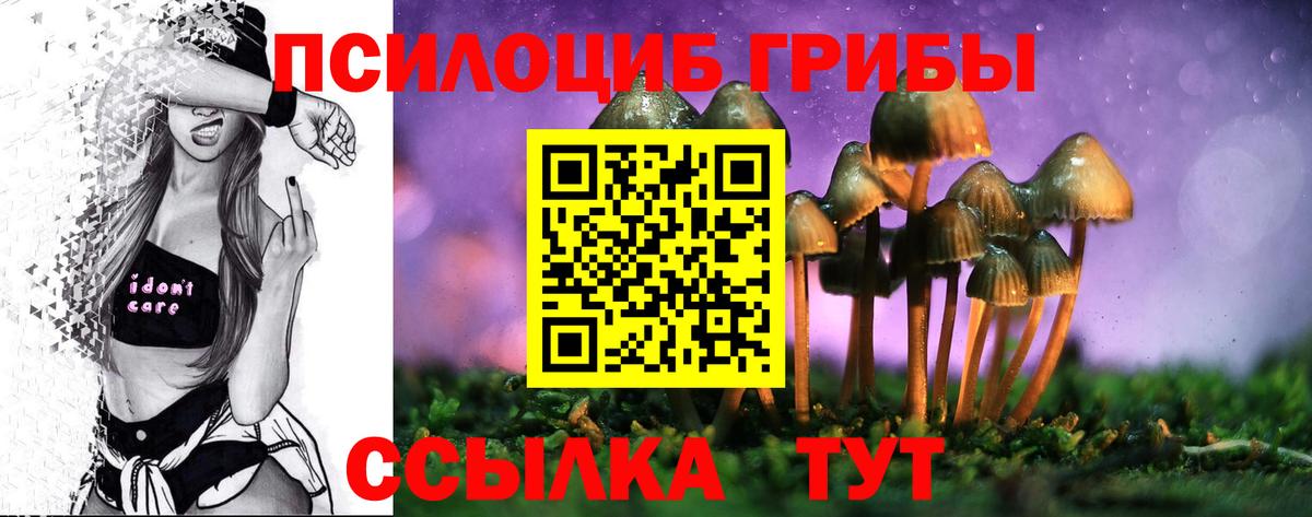 Псилоцибиновые грибы Cubensis  купить наркотик  Шебекино  Псилоцибиновые грибы GOLDEN TEACHER  Вход с VPN 